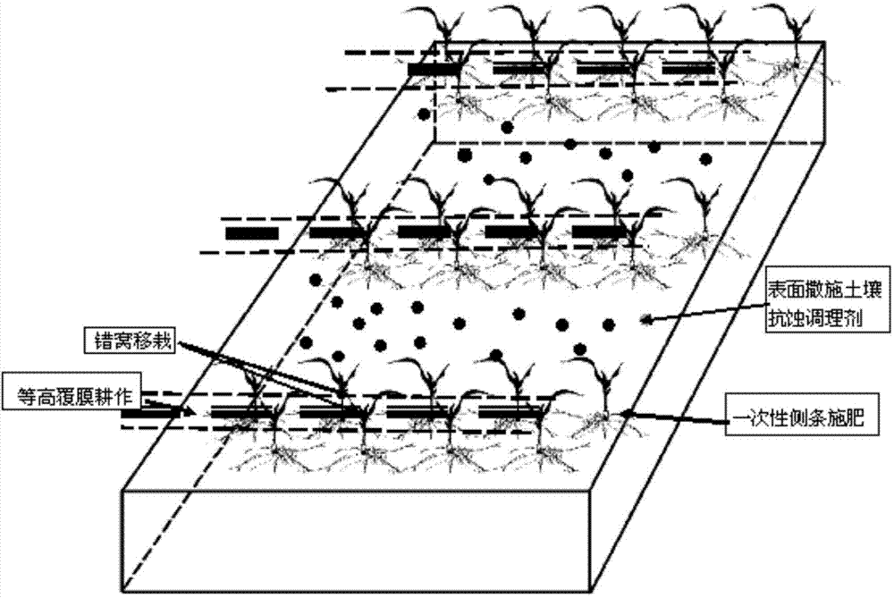 Corrosion-resistant and beneficiating non-point source pollution control method for spring corn slope cropland