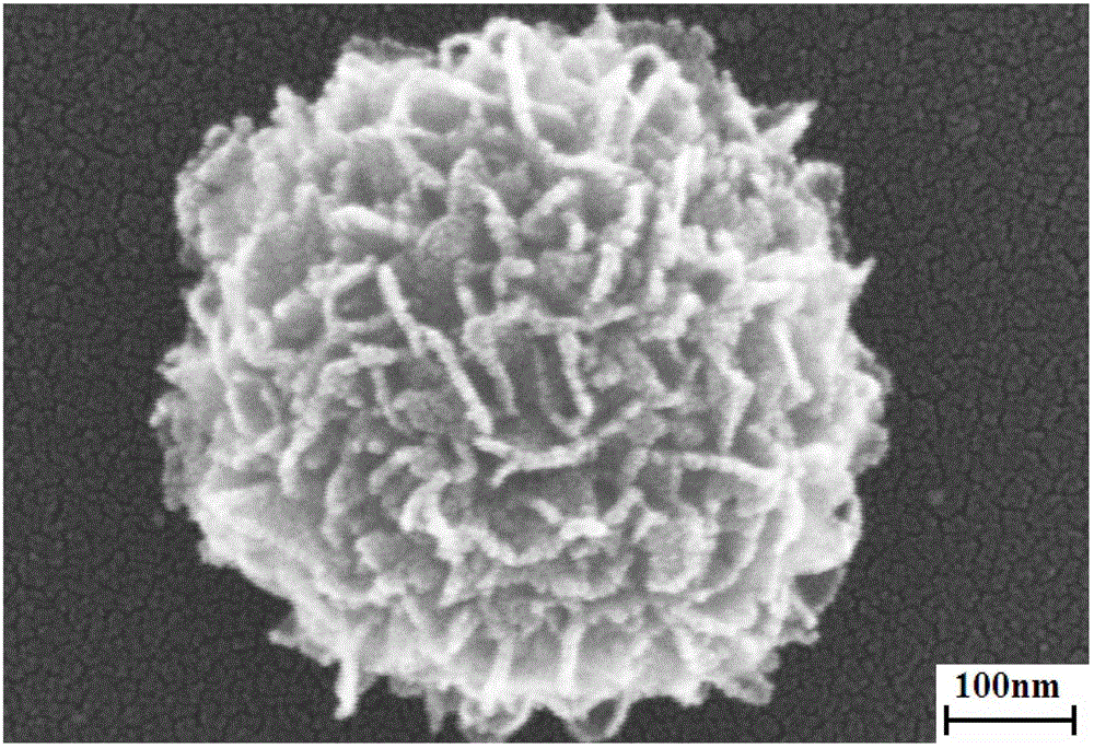 (001) surface exposure fe (ferrum) doping tio2 (titanium dioxide) multi-stage catalyst and preparation method of fe doping tio2 multi-stage catalyst