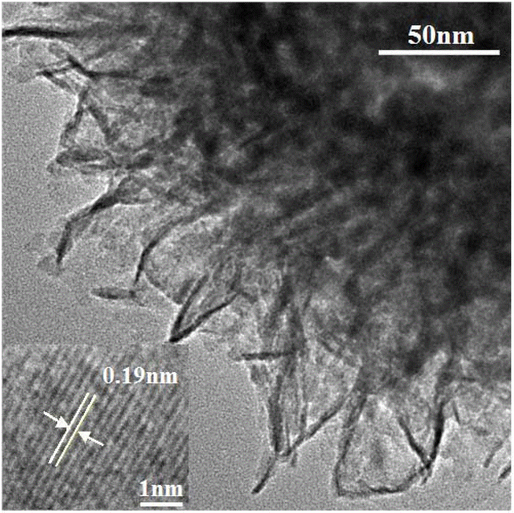 (001) surface exposure fe (ferrum) doping tio2 (titanium dioxide) multi-stage catalyst and preparation method of fe doping tio2 multi-stage catalyst