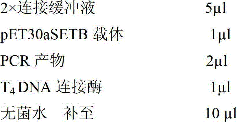 Mycobacterium tuberculosis specific fusion protein as well as preparation and application of mycobacterium tuberculosis specific fusion protein