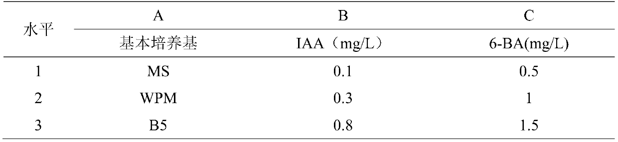 Method for callus and adventitious bud induction of quercus variabilis