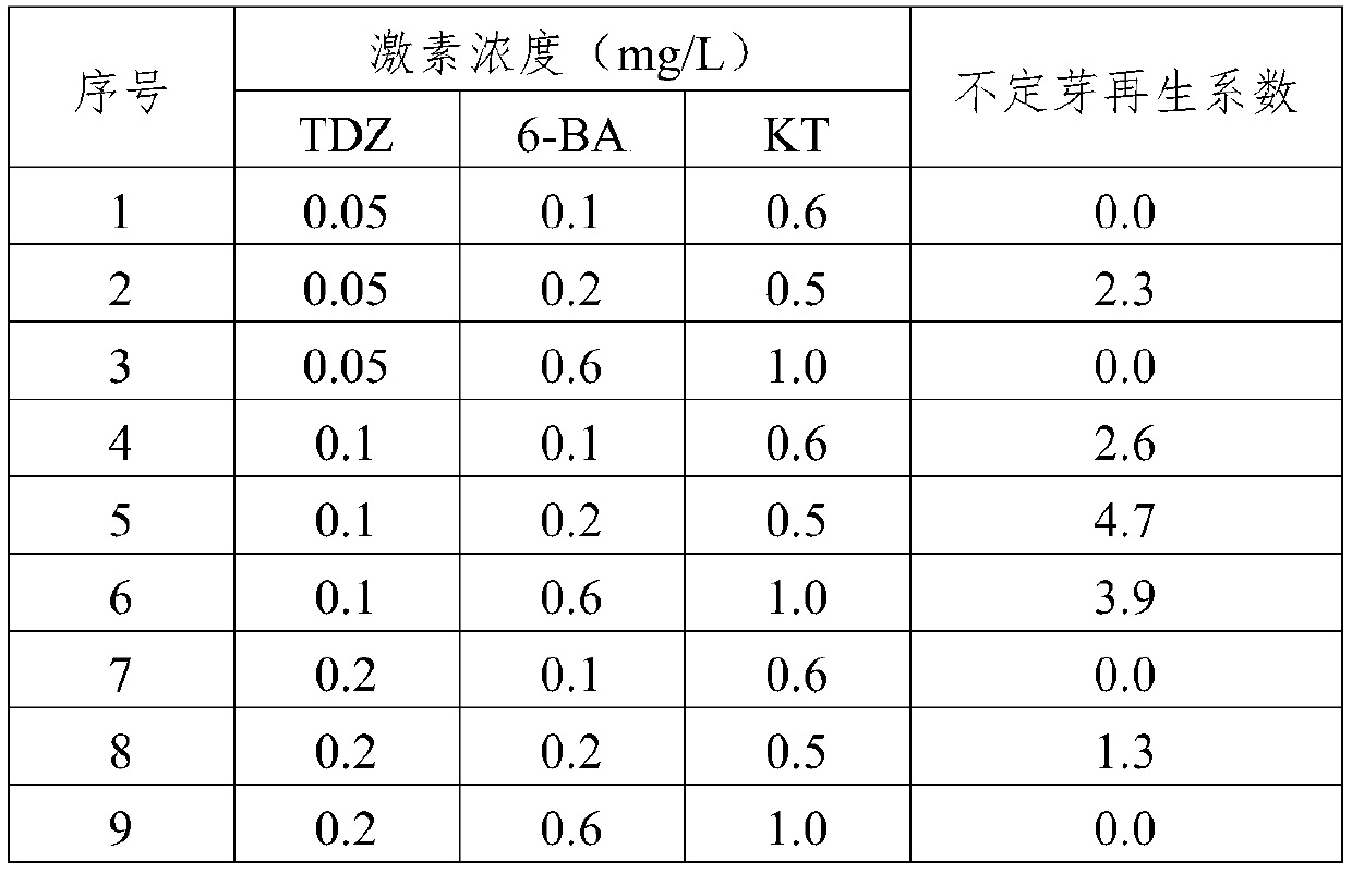 Method for callus and adventitious bud induction of quercus variabilis