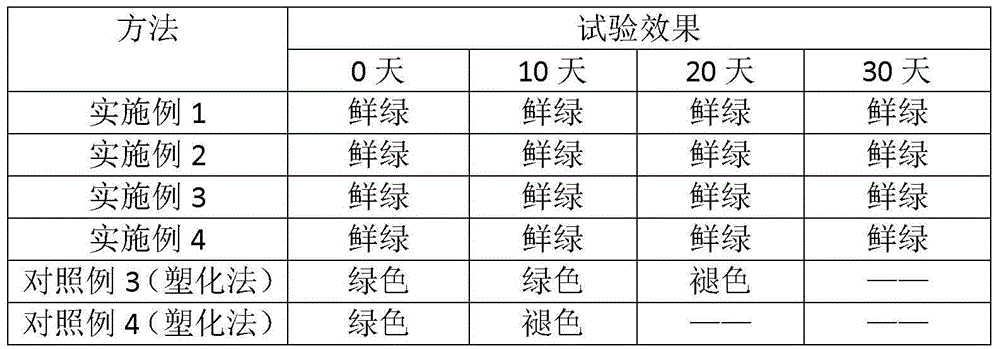 Preparation method of plant plasticized specimen