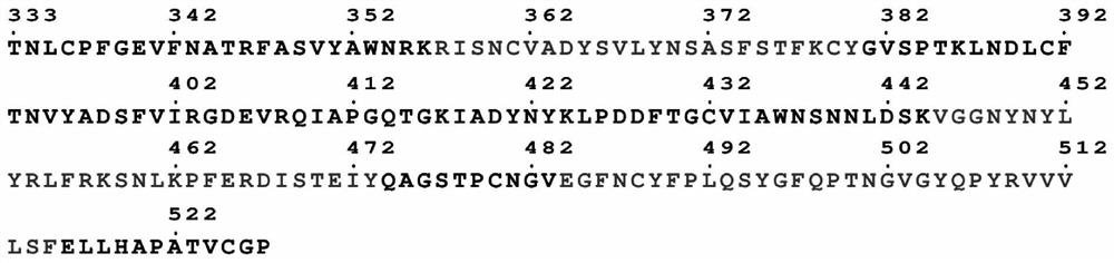 Tandem epitope polypeptide vaccine of novel coronavirus and application thereof