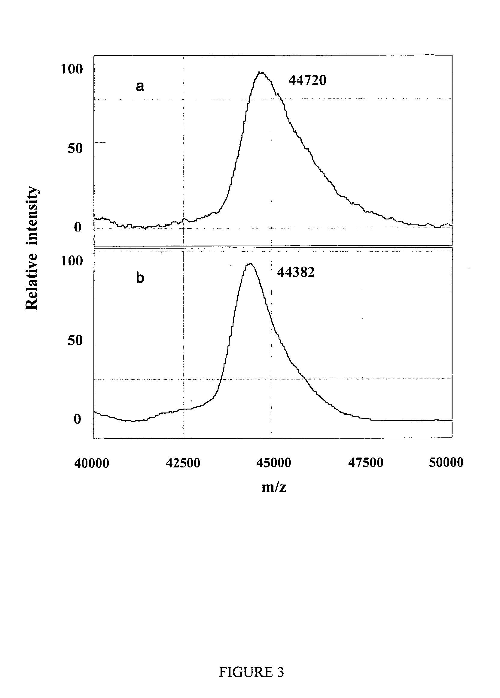 Method for chemical and enzymatic treatment of posttranslationally modified proteins bound to a protein chip