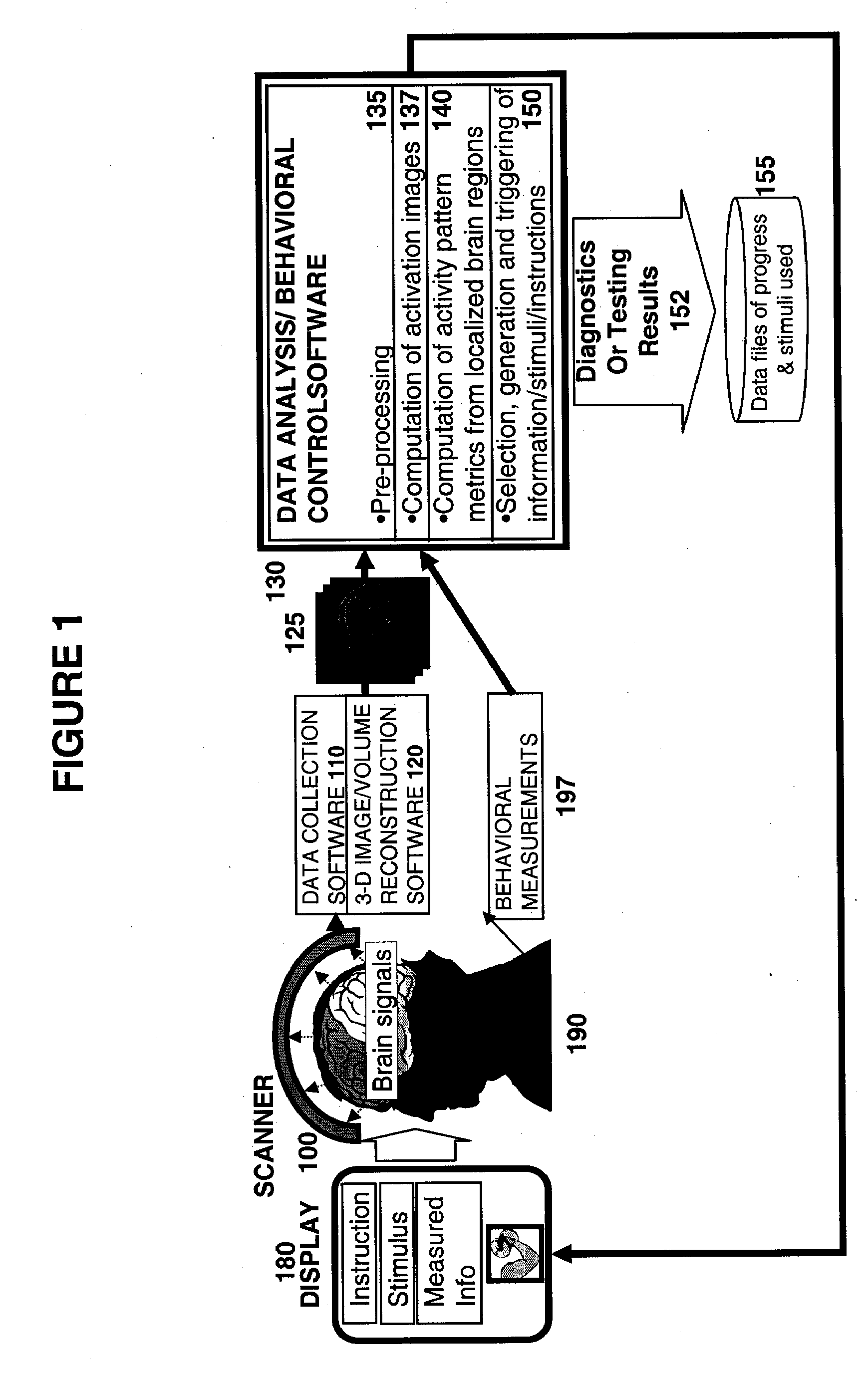 Methods for Measurement and Analysis of Brain Activity