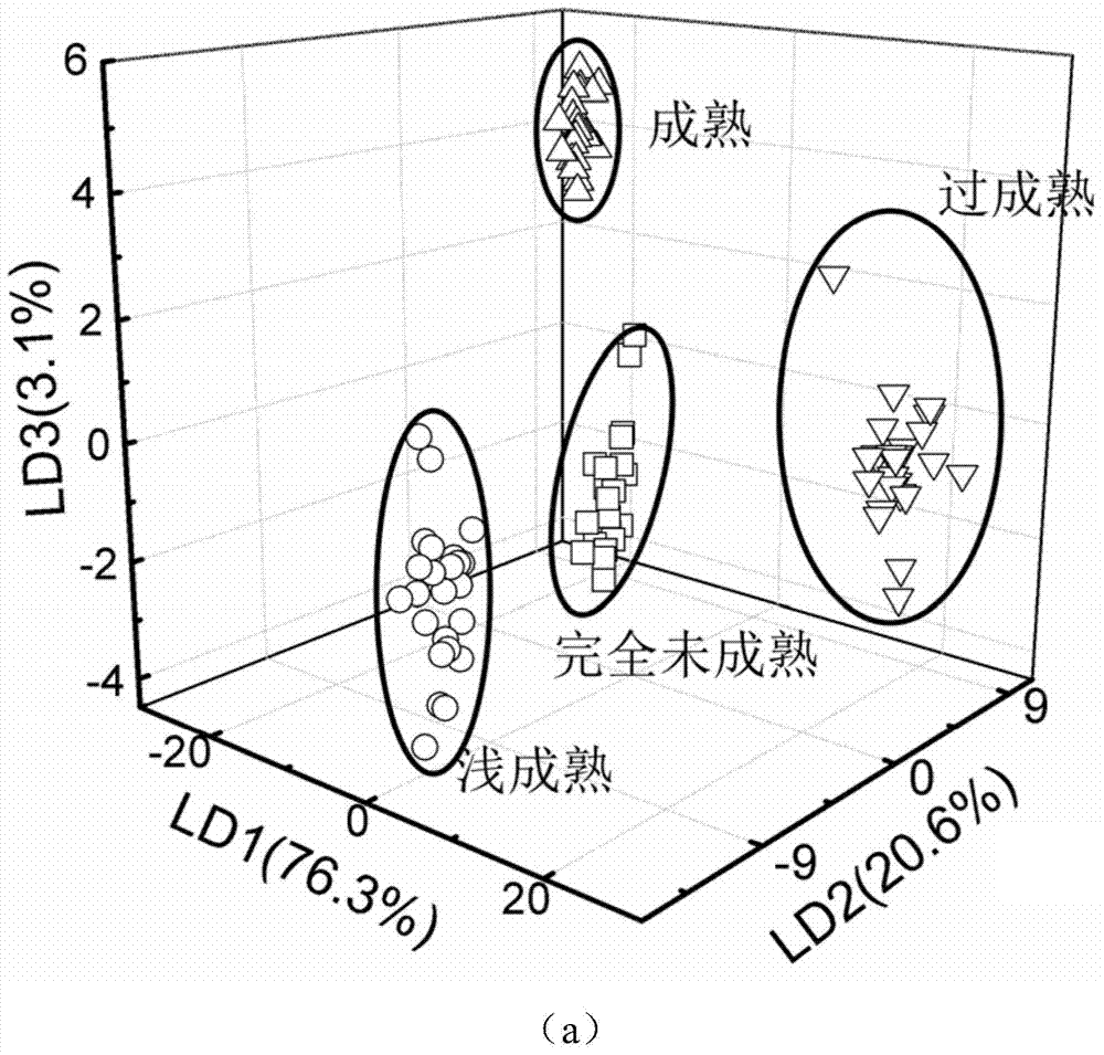 Method for detecting quality of oranges in different maturity on basis of taste-smell fingerprint spectrum