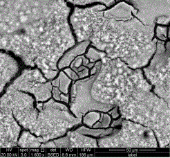 Hole sealing method for magnesium alloy surface rare earth chemical conversion coating