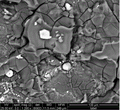 Hole sealing method for magnesium alloy surface rare earth chemical conversion coating