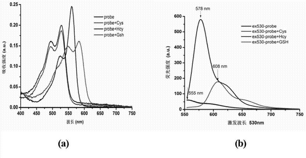 Novel fluorescent dye capable of multifunctionalization, and preparation method and application thereof