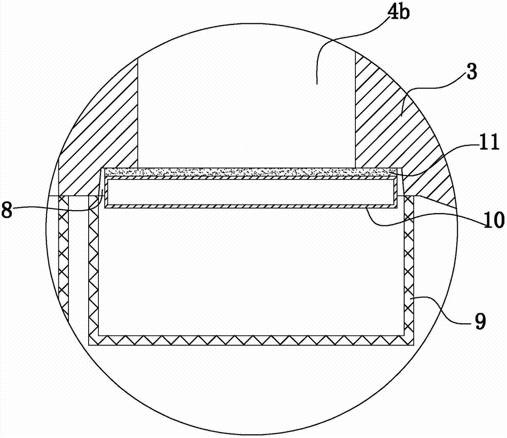 Algal reef with sediment self-cleaning function