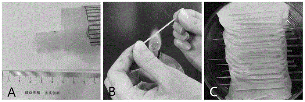 Micron-sized biological material paraffin sectioning method