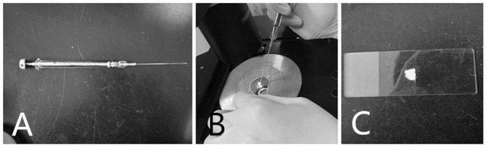 Micron-sized biological material paraffin sectioning method