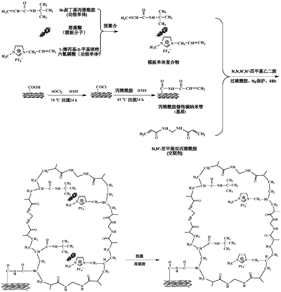 Lysozyme molecularly imprinted polymer on carbon nanotube surface and preparation method thereof