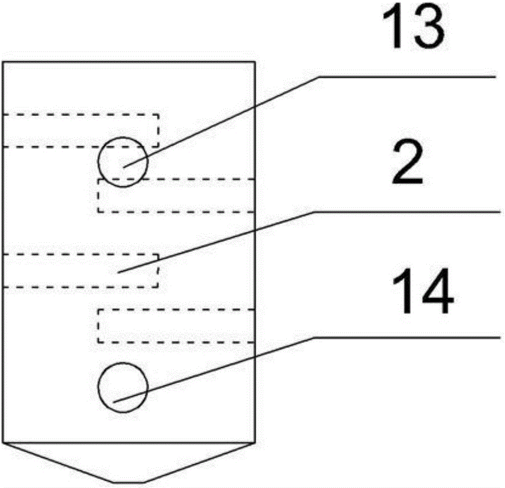 Metapenaeus ensis cultivation method