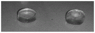 3D tissue engineering product containing living cells, and preparation method thereof