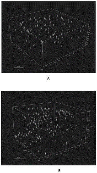 3D tissue engineering product containing living cells, and preparation method thereof