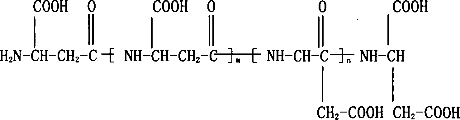 Copolymer and its preparation method and reverse osmosis membrane protective agent comprising the copolymer and its uses