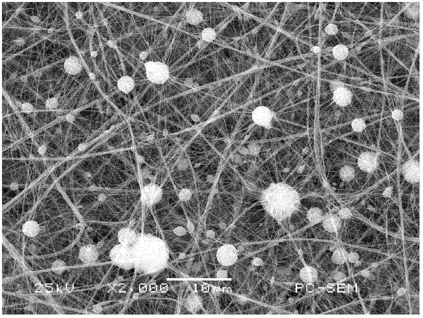 Composite proton exchange membrane and preparation method thereof