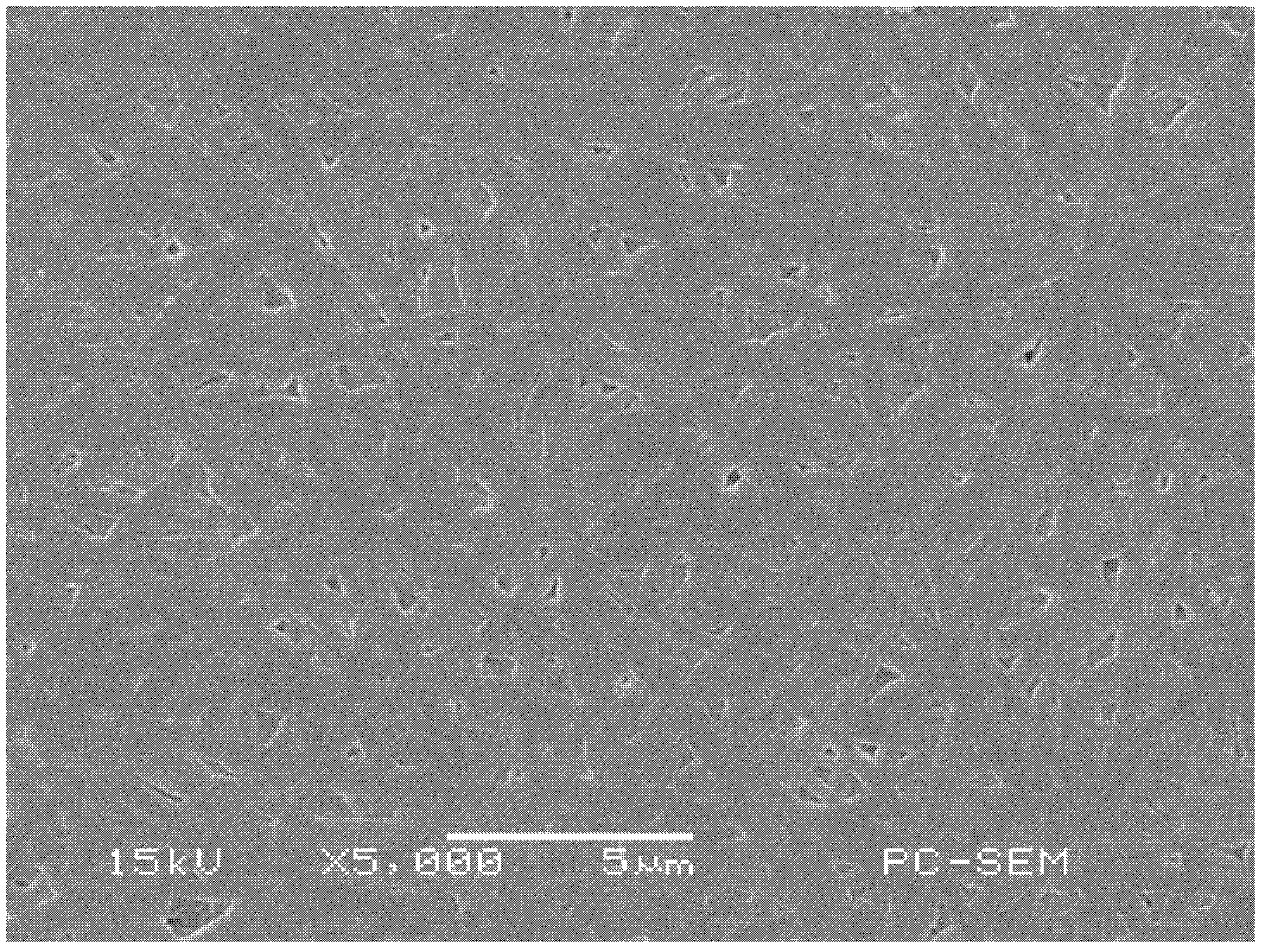 Composite proton exchange membrane and preparation method thereof