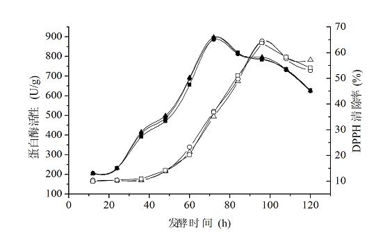 Method for preparing antioxidant polypeptide by solid fermentation of acanthogobius hasta muscle protein