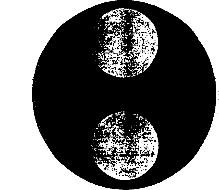 Mechanism for indicating moon pictures