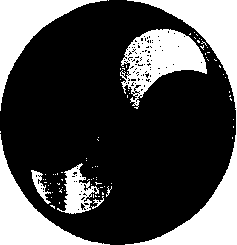 Mechanism for indicating moon pictures