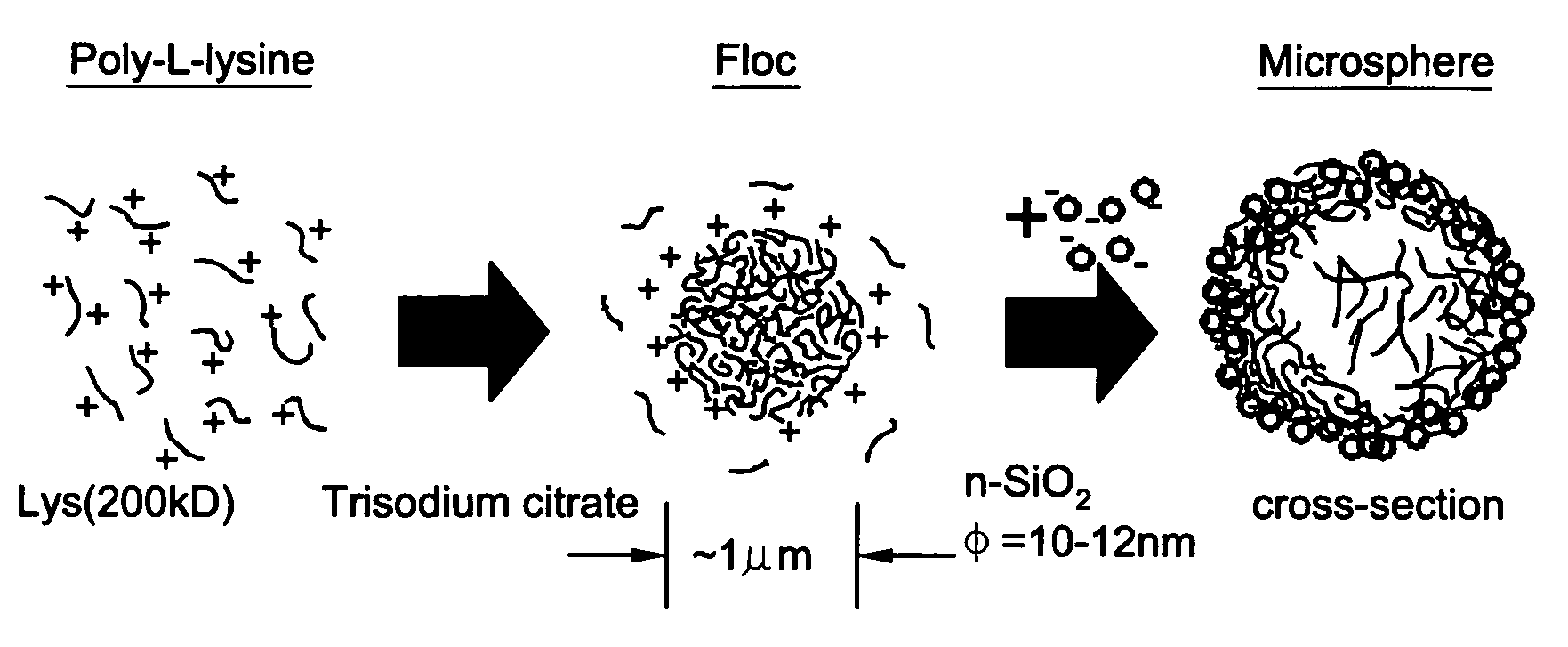 Method to fabricate microcapsules from polymers and charged nanoparticles