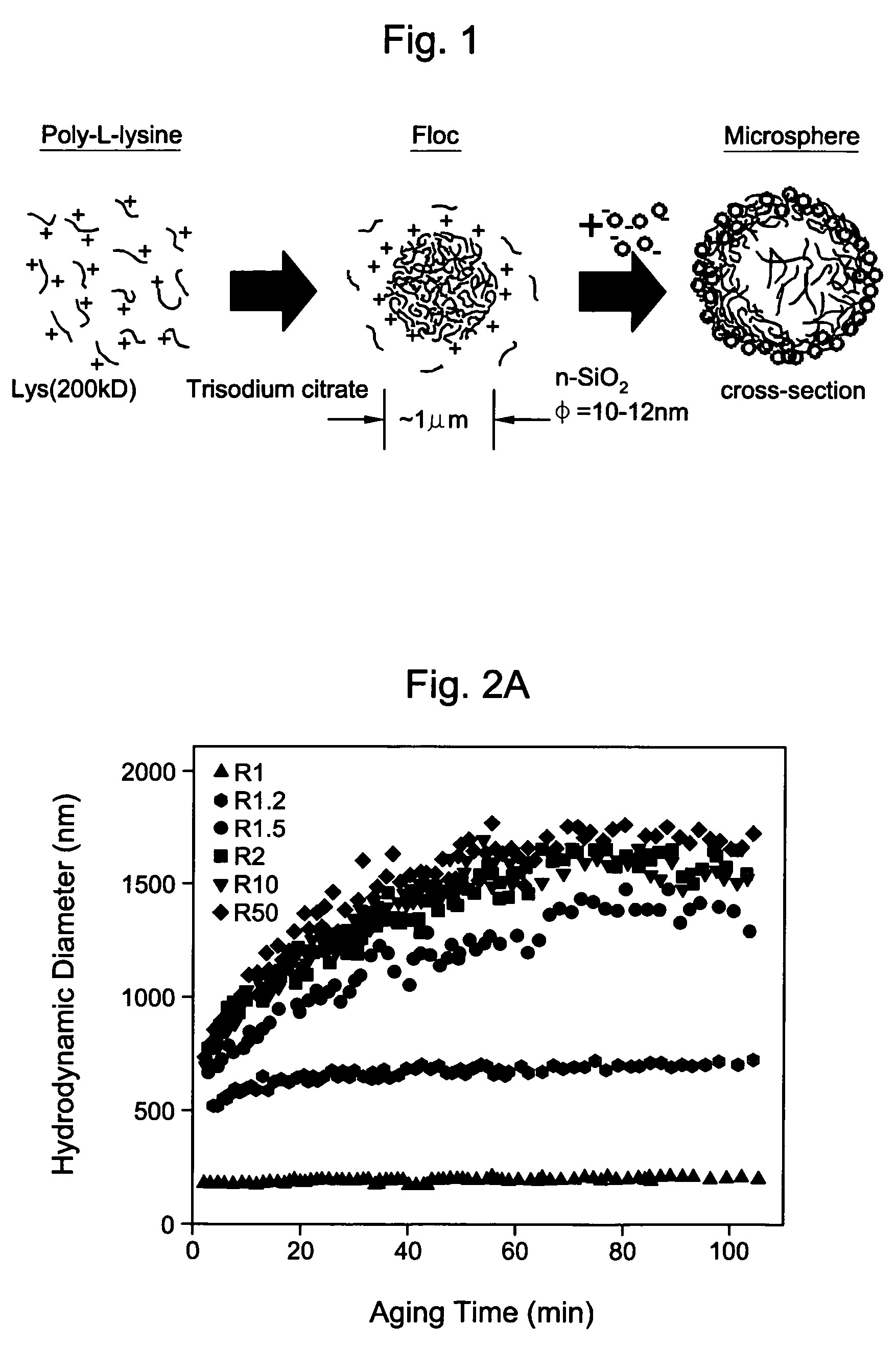 Method to fabricate microcapsules from polymers and charged nanoparticles