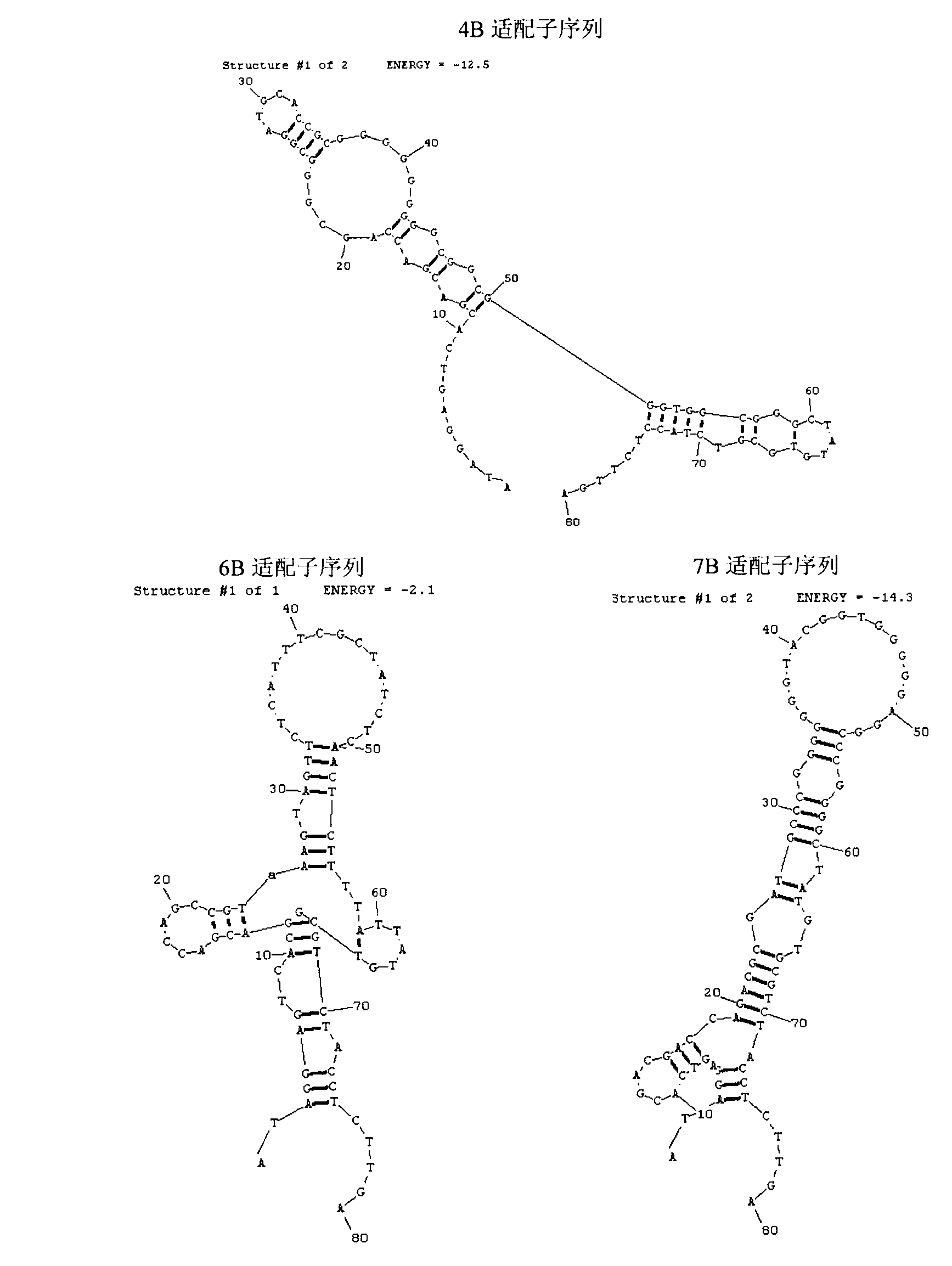 A set of oligonucleotide aptamers capable of specifically recognizing streptococcus agalactiae