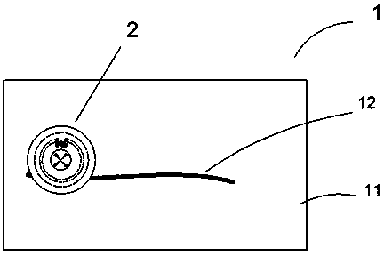 Bucky electronic tag and manufacturing method thereof