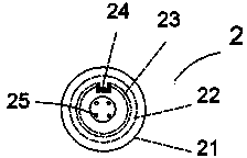 Bucky electronic tag and manufacturing method thereof