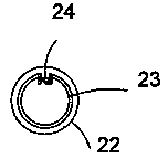 Bucky electronic tag and manufacturing method thereof