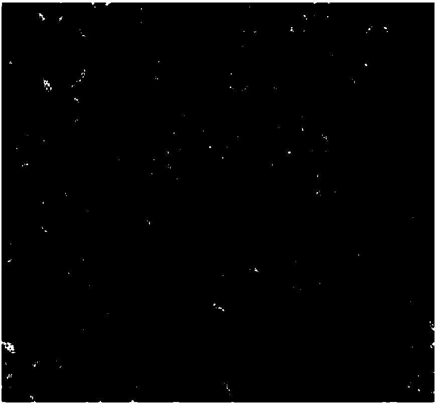 Transparent gel hair care composition and preparation method thereof