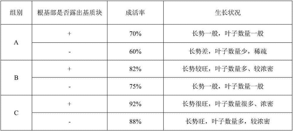 Method for restoring understory vegetation and constructing Lingnan indigenous ground-cover landscape from garden waste and indigenous plants