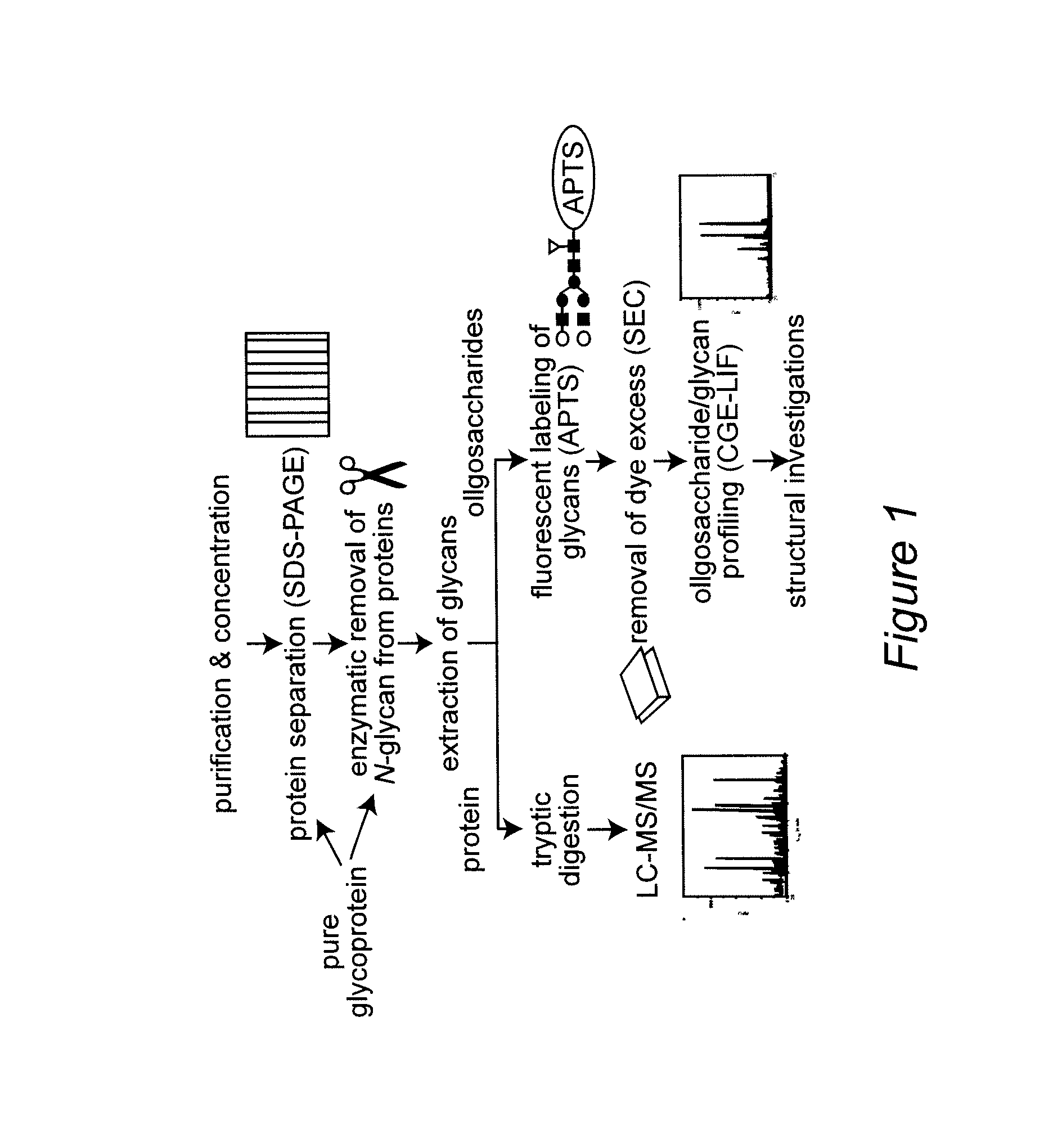 Method for automated high throughput identification of carbohydrates and carbohydrate mixture composition patterns as well as systems therefore