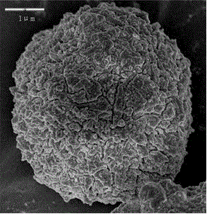 Synthesis method of beta/Y composite molecular sieve