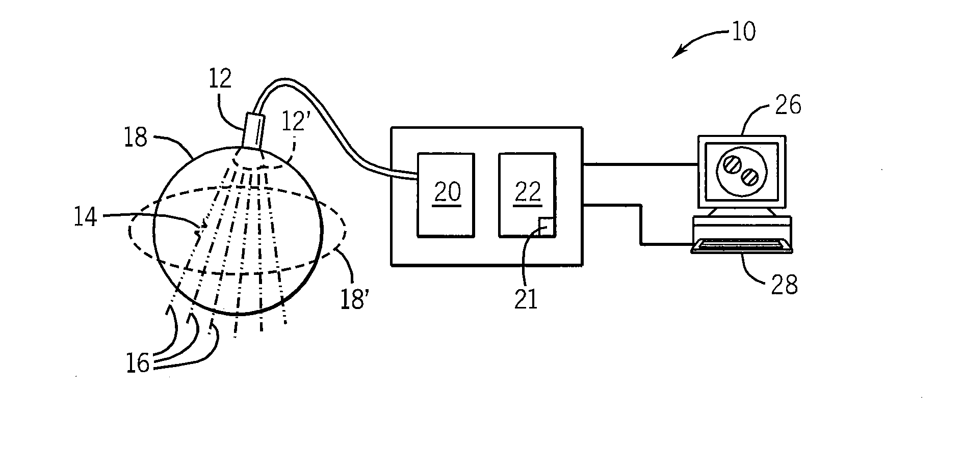 Rapid two/three-dimensional sector strain imaging