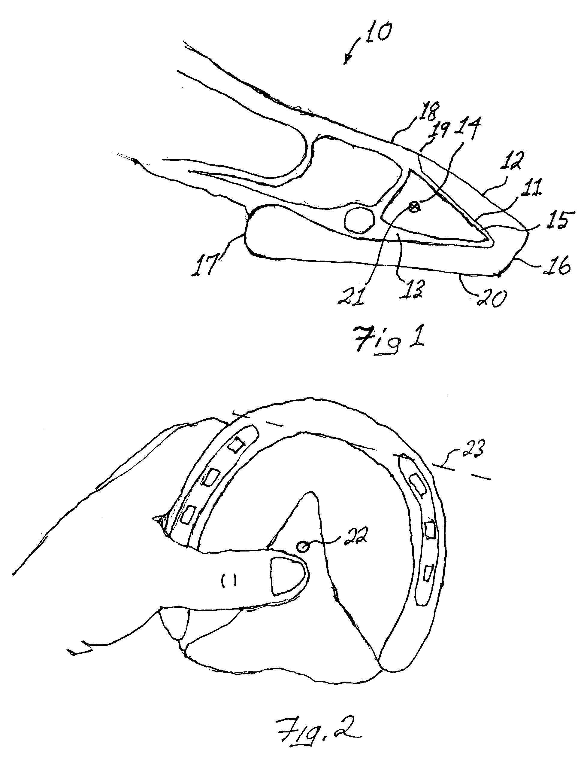 Farrier's measuring tool and method for using