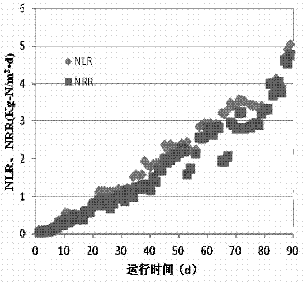 Cultivation method of anammox granular sludge