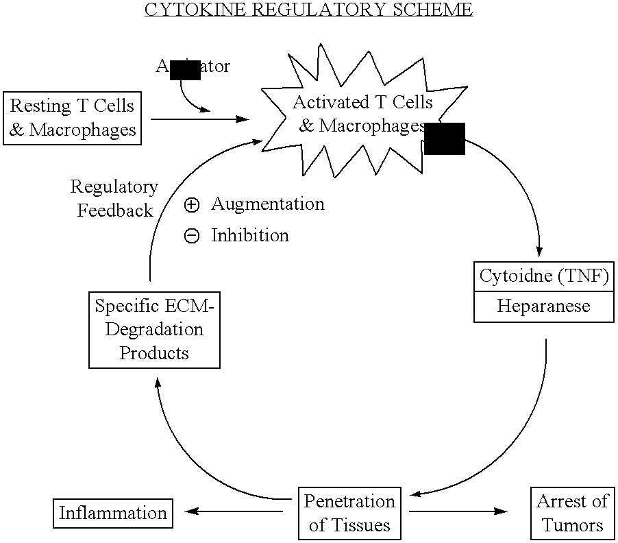 Compositions for the regulation of cytokine activity