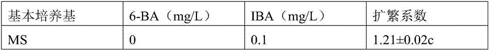 Rapid propagation method of apple stock B9