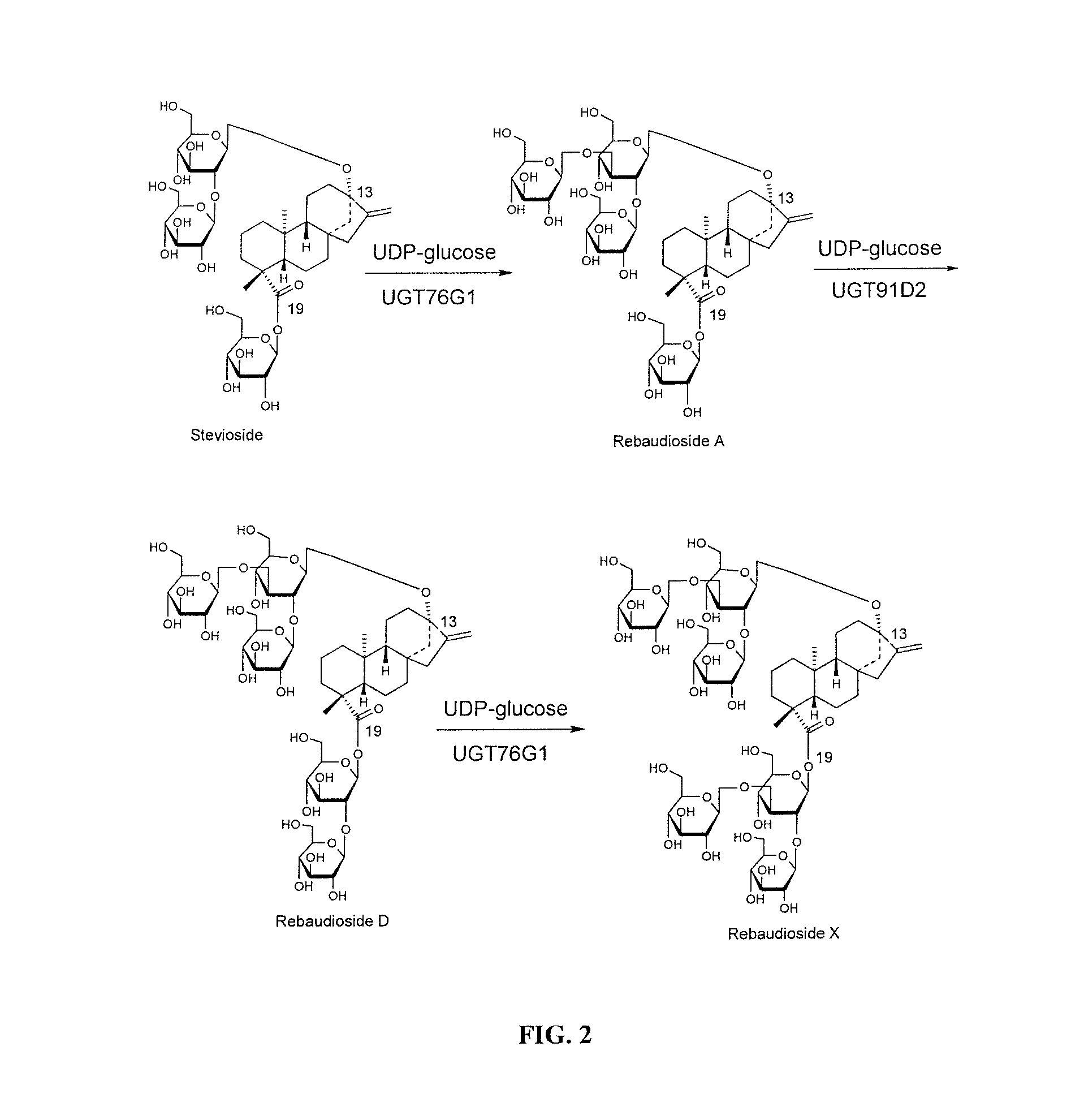 Method for making rebaudioside X