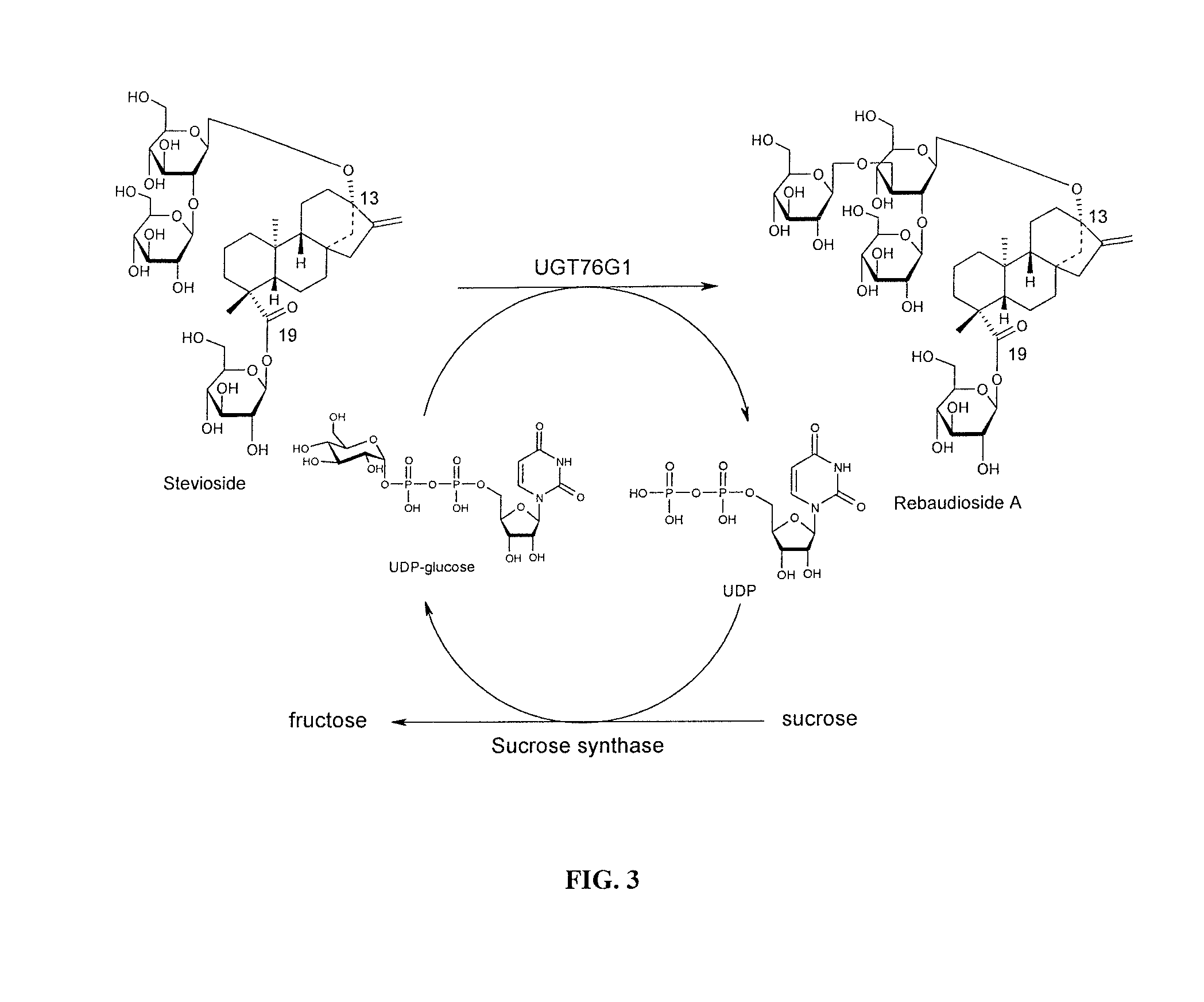 Method for making rebaudioside X