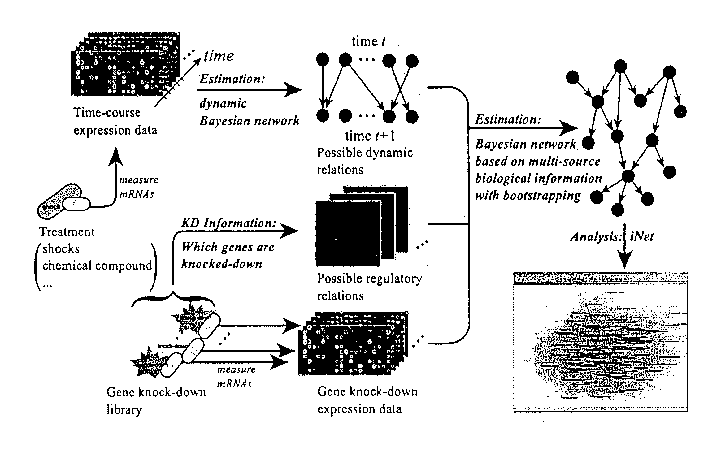 Computational strategy for discovering druggable gene networks from genome-wide RNA expression profiles