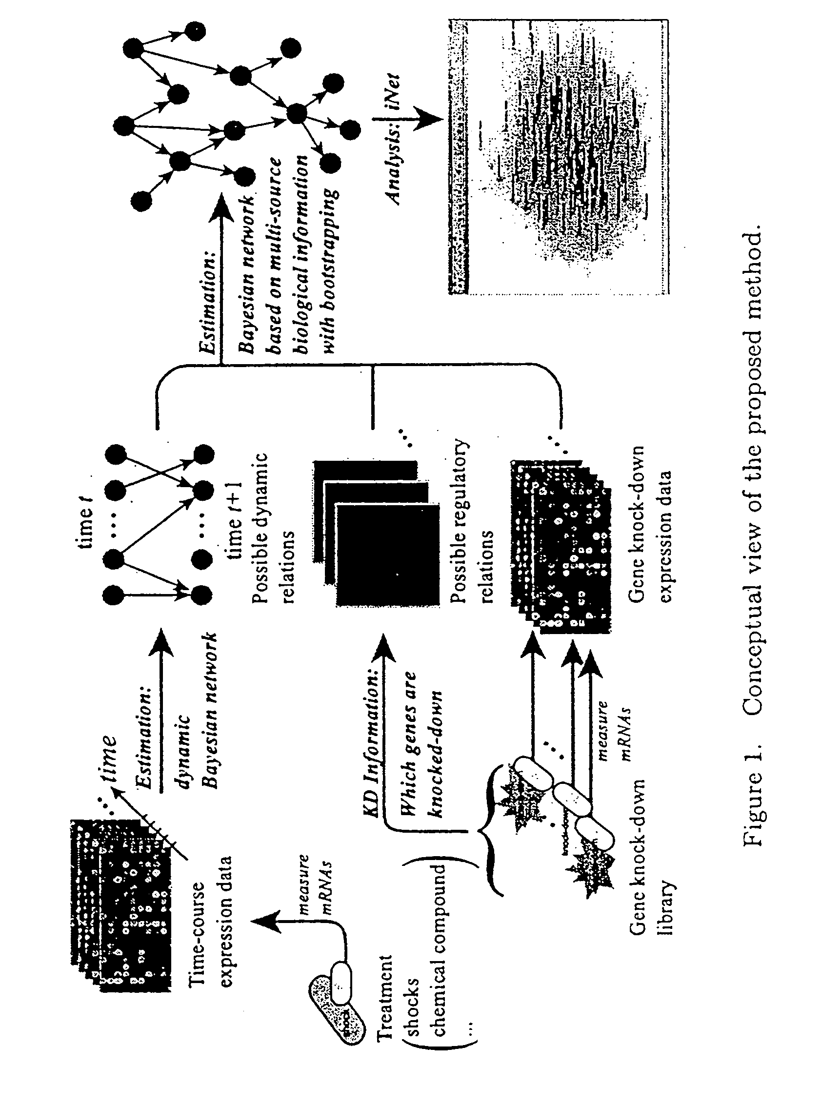 Computational strategy for discovering druggable gene networks from genome-wide RNA expression profiles