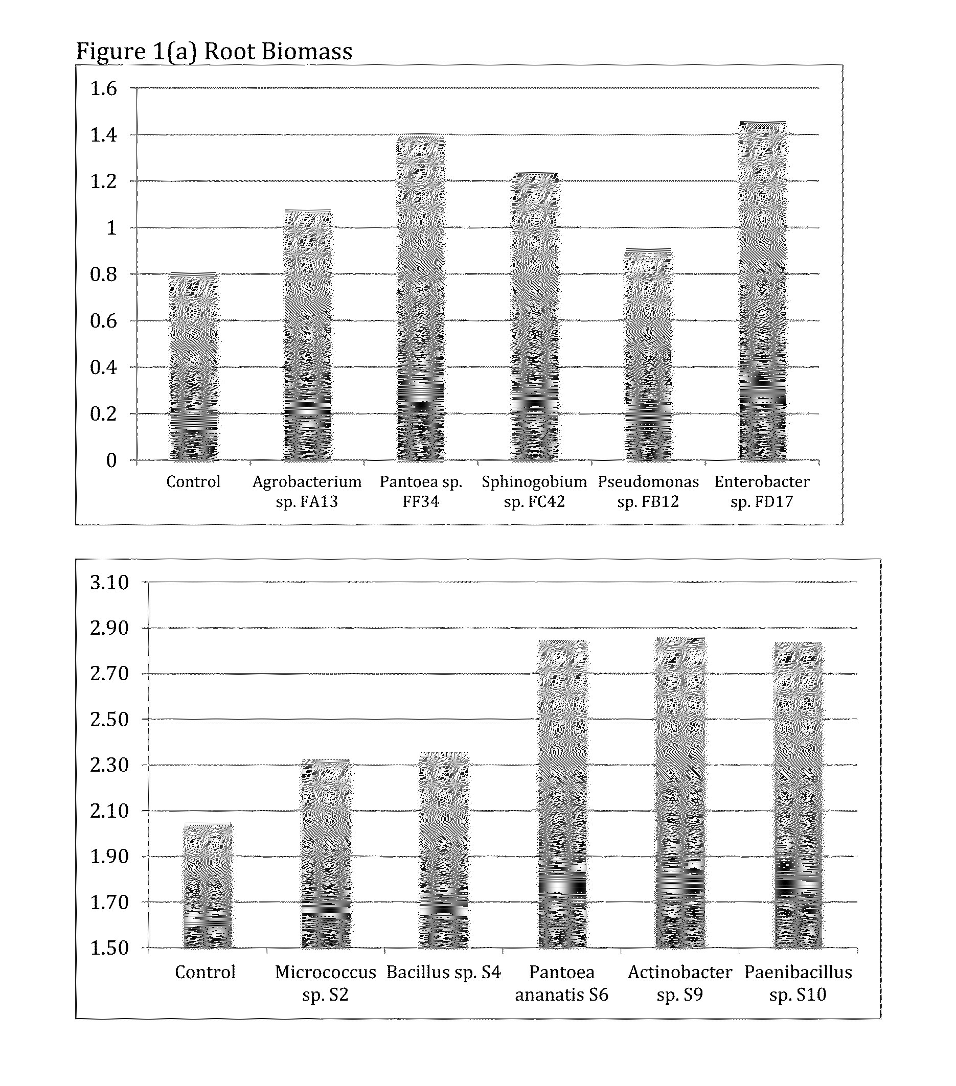 Plant-endophyte combinations and uses therefor