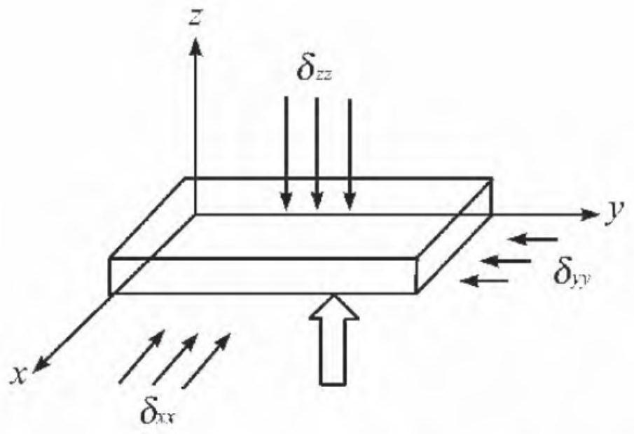 Bird impact load testing device and method