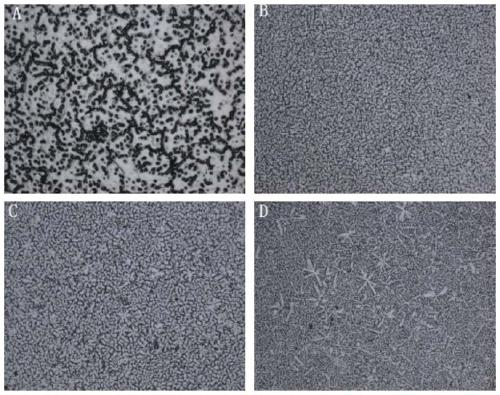 A kind of preparation method of az91d alloy with ultra-fine grain solidification structure