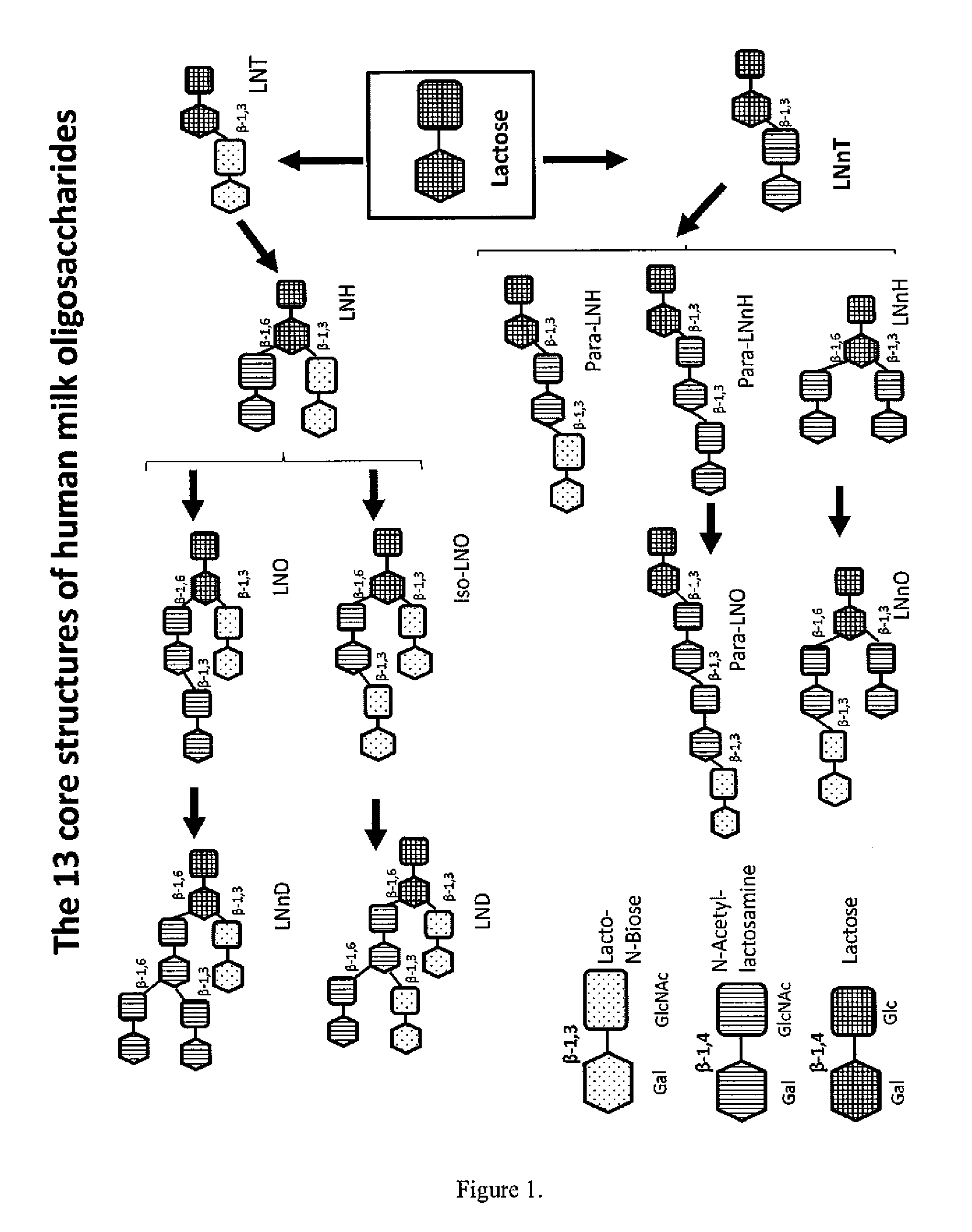 Method for generating human milk oligosaccharides (HMOs) or precursors thereof